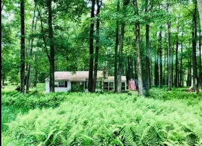 Moss Mountain Getaway - Image 2