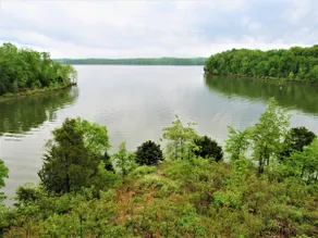 Cozy Lookout ~Duplex ~ Lake-View ~Pool - Image 5