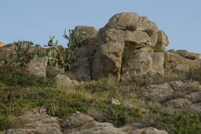 Arismari Villas Orkos Naxos - Image 2
