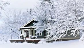 Paradise on Private 15 Acre Wildlife Sanctuary - Image 4