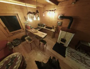 Cozy Wood Cabin, Organic Environment - Image 4