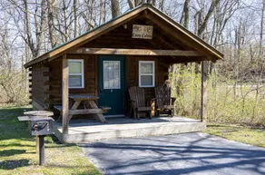 Cozy Cabin - #1 - Image 2