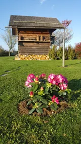 Furnished cottage/chalet for 2 people ”Le 1780” - Image 3