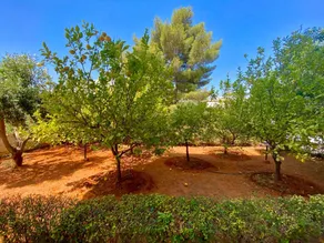Close to the beach and popular neighborhoods - Image 4