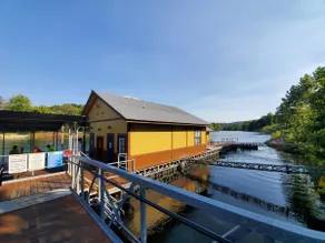Branson Large Serene Retreat, Pools, Hot Tub! - Image 2