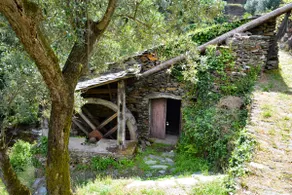 Casa do Azereiro - Image 5