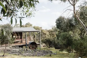Grass Tree Gully - Image 2