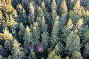Guerneville Glamour! Modern Retreat~ Hot Tub, Pets - Image 4