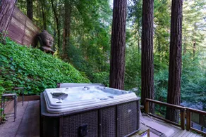 Guerneville Glamour! Modern Retreat~ Hot Tub, Pets - Image 3