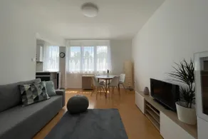 Balaton City Apartment - Image 2