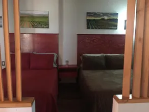 Quintas Marlet en la ruta del vino - Image 3