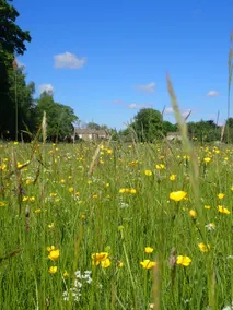 Spacious 2 bed detached cottage, nr Barnard Castle - Image 4