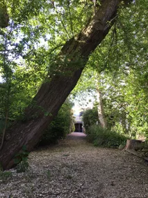 Hidden place near the center of Leeuwarden - Image 4