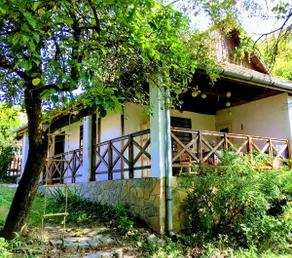Palóc house with large covered terrace, next to Hollókő - Image 3