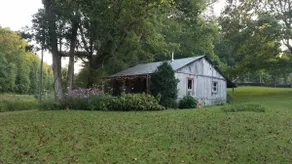 Whispering Waters Cabin by The Creek - Image 5