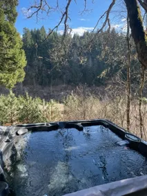 Sweet Little River Cabin in the Trees, HOT TUB!! - Image 5
