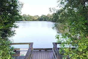 The Lake House, Woking - Image 5