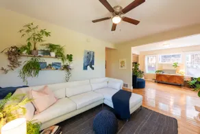 Sunny Artist’s Home Filled with Plants - Image 3