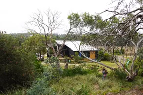 Beachside Family Surf Retreat - Image 5