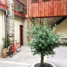 Le Patio - Vallée d'Aspe - Image 2