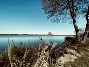 MY LITTLE LANDES DREAM - Image 3