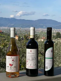 Apartment ”Vigna” (30 min from Florence) - Image 5