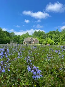 Guesthouse on private 16 acre country estate. - Image 5