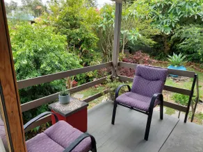 Garden Suite | Private Entrance & Leafy Deck - Image 2