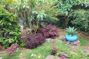 Garden Suite | Private Entrance & Leafy Deck - Image 3
