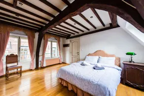 HOFMARKGRAAF: Unique apartment in historic mansion - Image 3