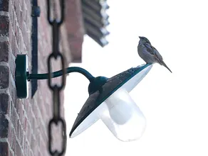 Rural stay, in the Kleine Donkhoeve - Image 4