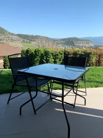 Spacious 2 bed suite with view & private backyard - Image 5