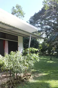 Cabina Oso Perezoso - 10 km from Río Celeste - Image 3