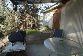 Dolphin Sands Beach Studio - Image 4