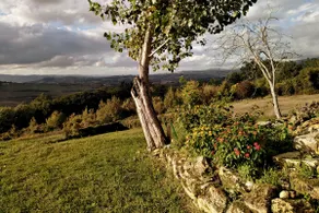 casale tipico con piscina nei verdi colli umbri - Image 5
