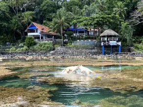 Oceanfront Secret - Image 5