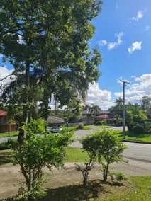 Entire house in Springwood - Image 4