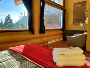 Bear Behind Lodge: Wi-Fi, Views, BBQ, 3 Full Bthrm - Image 4