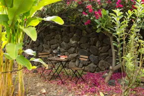 Canary Islands Hike & Beach - Image 4