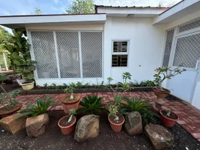 Lumbo HillSide House - Image 2