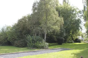 Family vacation home - Image 4