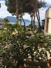 House 3 minutes' walk from the sea and climbing - Image 2