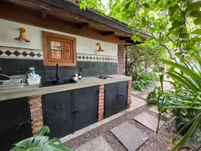 A small oasis near Barrio Italia - Image 2