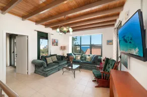 Paradisos Mimoza villa, beach and private pool - Image 3