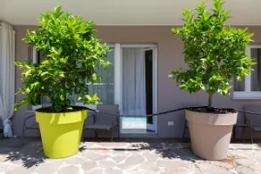 Il Giardino Apartment - Villa Fiore - Image 4