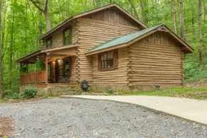 Fernwood Forest - Image 4