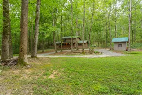 Fernwood Forest - Image 3