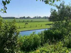 Vacation home in green surroundings - Image 2