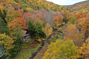 Creekside cottage on 65 acres of land - Image 4