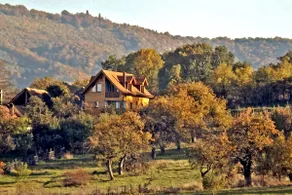 • ZOLLO II • Studio-apartment in Transylvania - Image 2